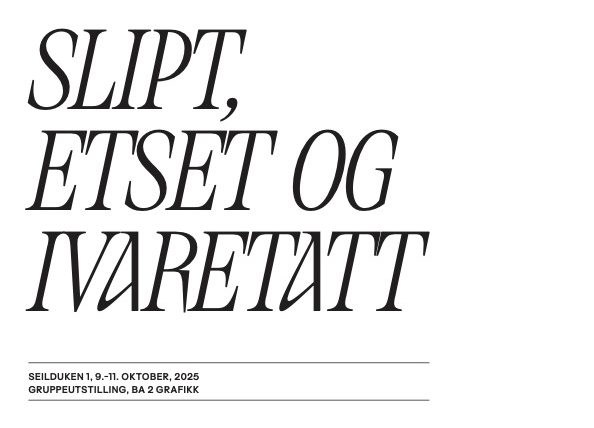 Exhibition: “SLIPT, ETSET OG IVARETATT” (2025)